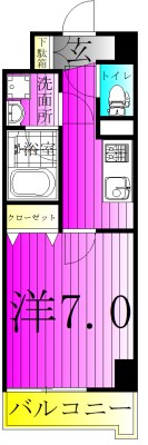 LaSante柏 602号室 間取り