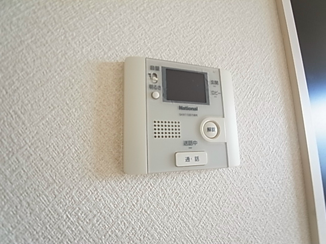 ルガーナ その他5