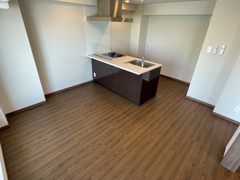 ＤＩＰＳ北千住  リビング