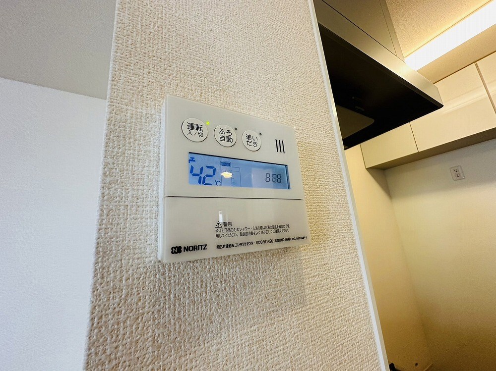 ＲＳＡ その他30