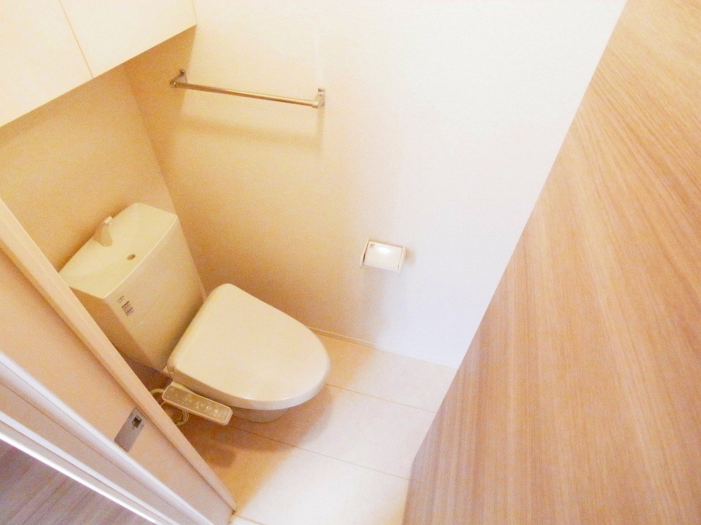 ルピナス その他1