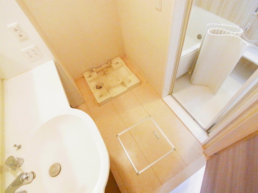 ルピナス その他2