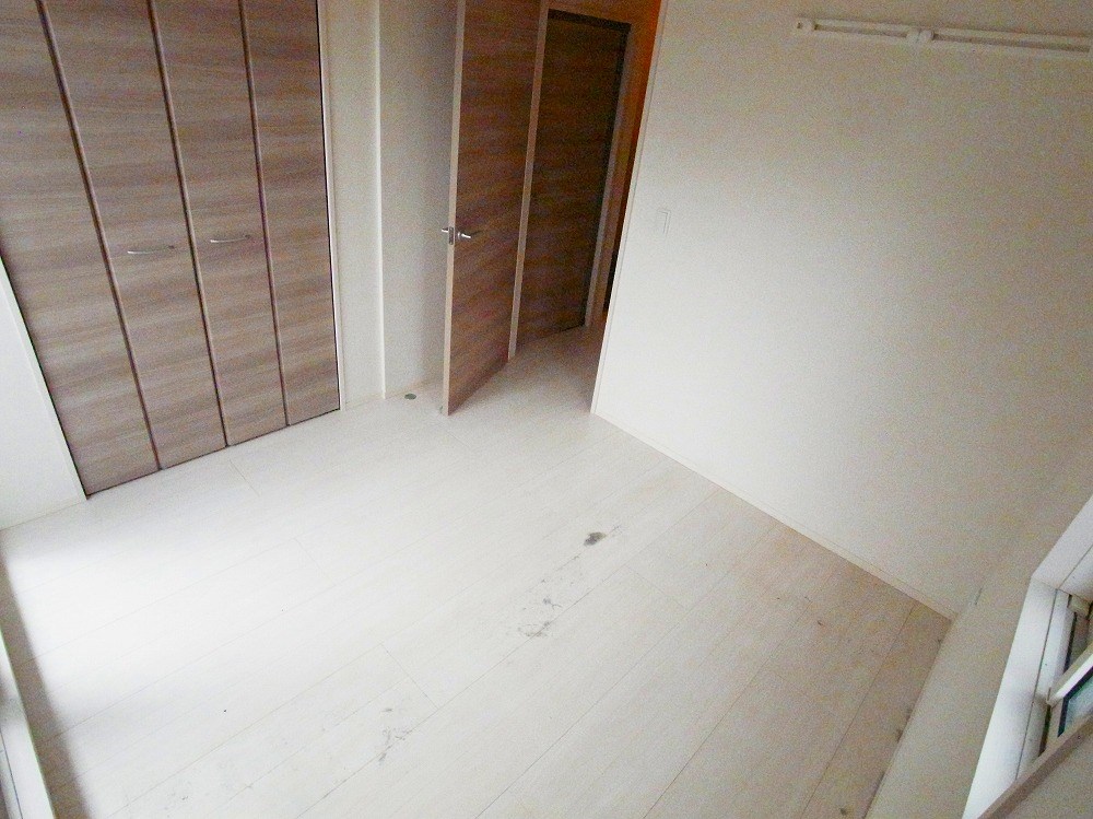 ルピナス その他11