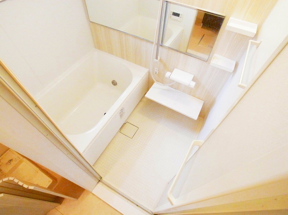 ルピナス その他15