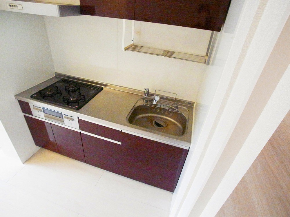 ルピナス その他16