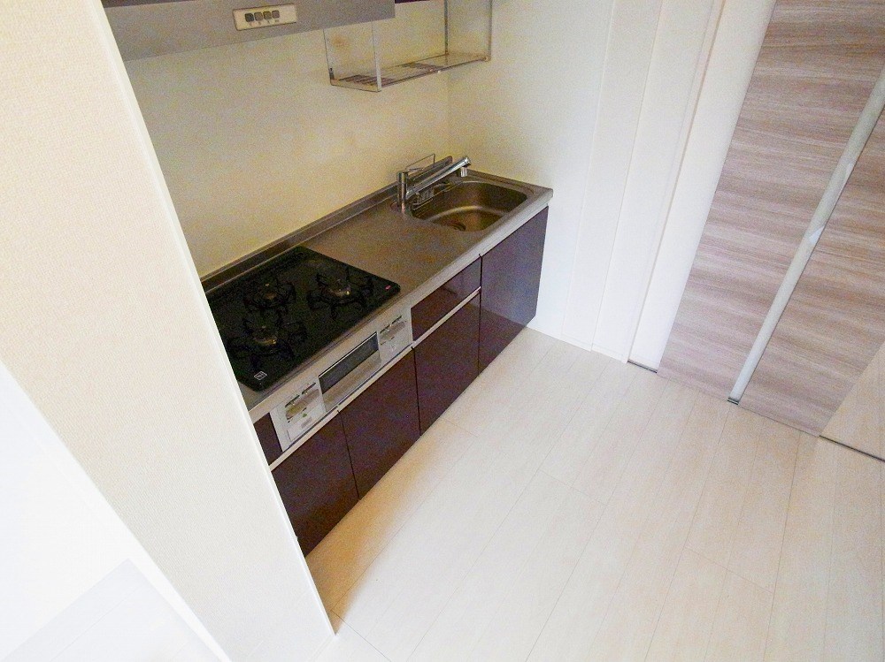 ルピナス その他17