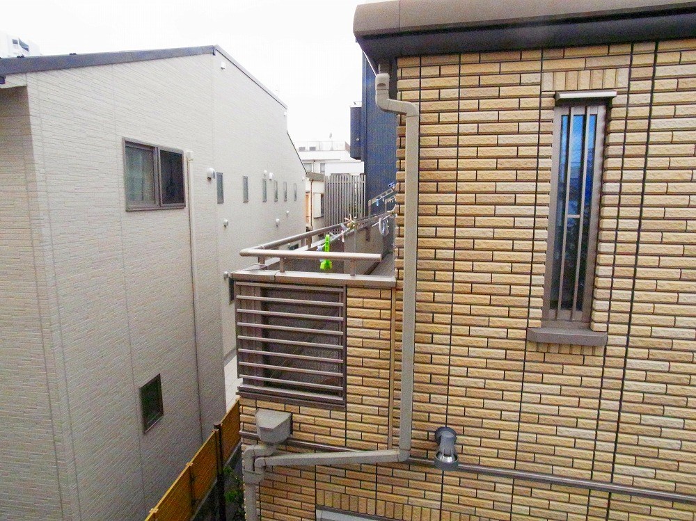 ルピナス その他30