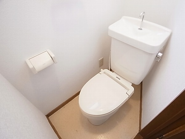 ロマネあけぼの その他1