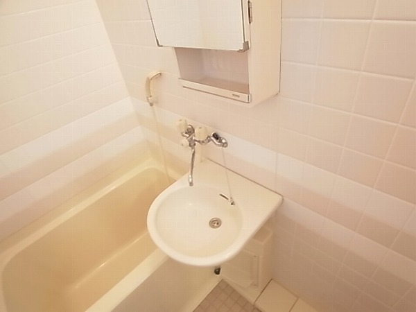 ロマネあけぼの その他2