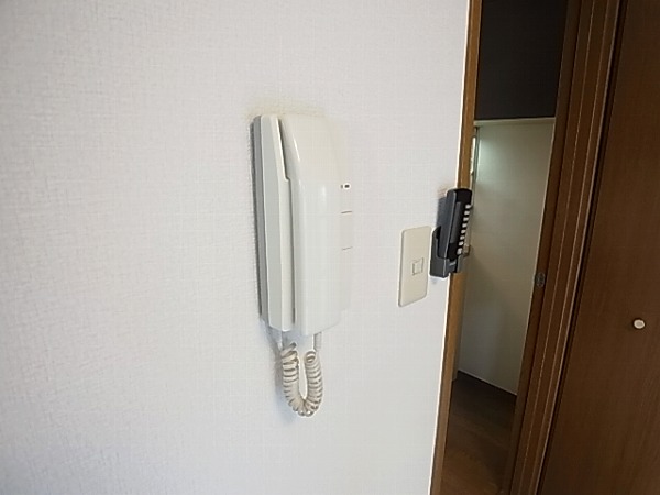 ロマネあけぼの その他4