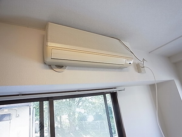 ロマネあけぼの その他5