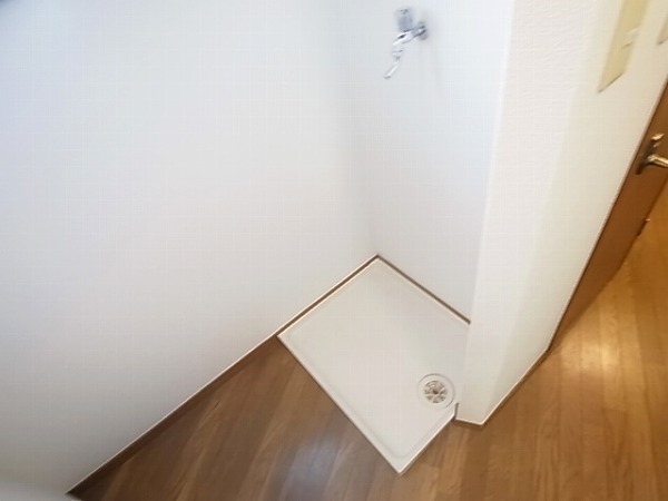 ロマネあけぼの その他9