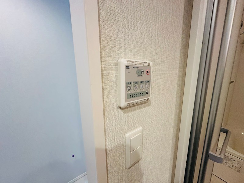 ホーリーホック その他15