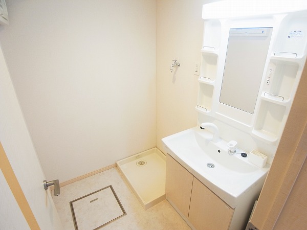 プティ　グリシーヌ その他2