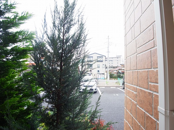 プティ　グリシーヌ その他8