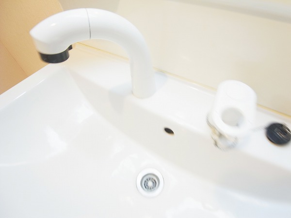 プティ　グリシーヌ その他11