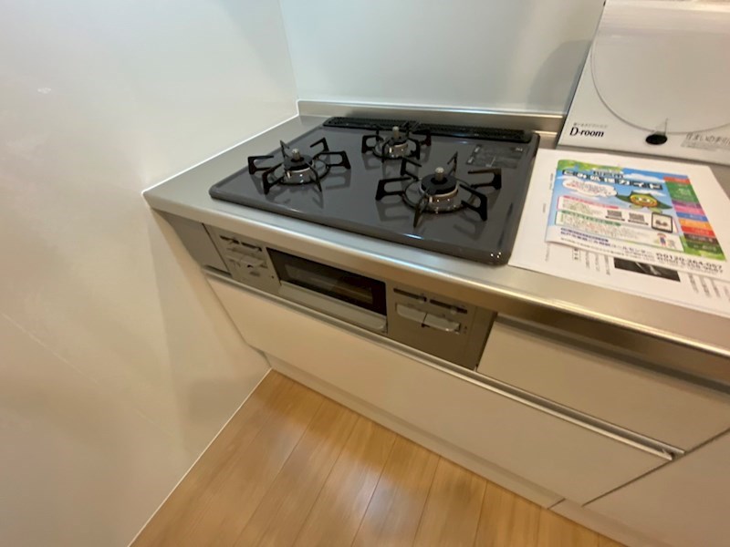 ヴィラセレビィⅡ その他10
