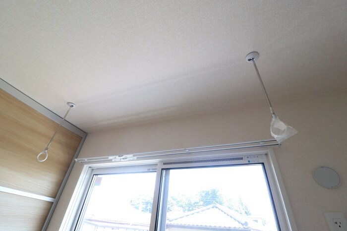 アレグリア その他6