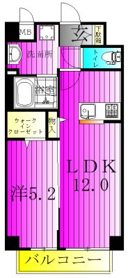 ルーチェⅤ 703号室 間取り