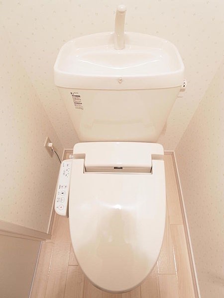 SETTER RIDGE その他1