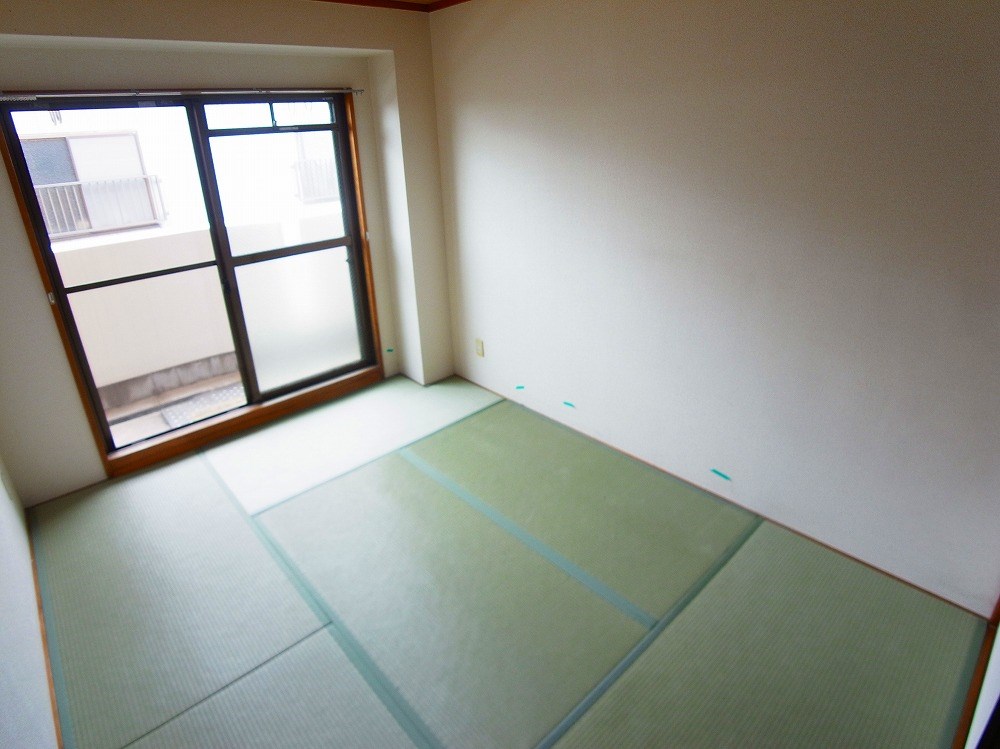 榎本ハイデンス  その他1