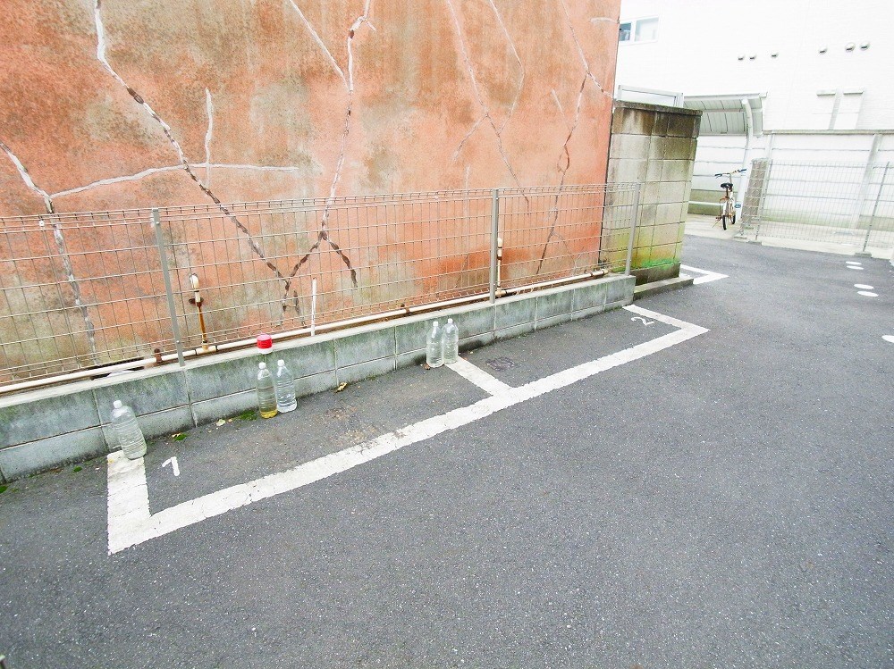 パーシモン　ジュジュベ その他外観3