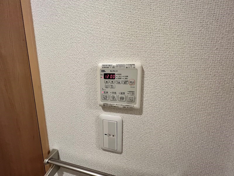 パーシモン　ジュジュベ その他21