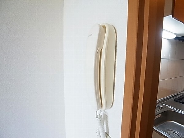 フェニックス その他4