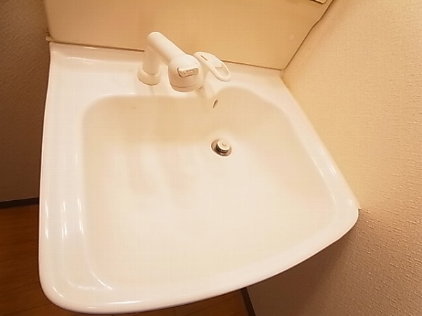 フェニックス その他14