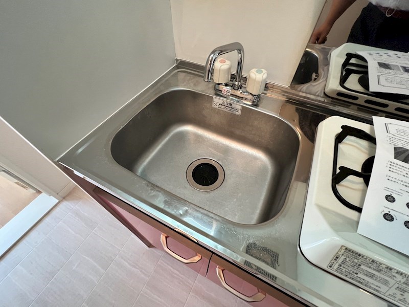 Ｌａ　Ｖｉｅ　ｅｎ　Ｒｏｓｅ その他12