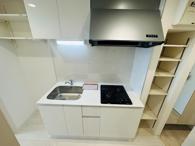 スカースデル その他11