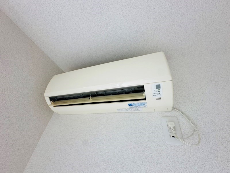 Ｗｉｓｔｅｒｉａ扇 その他6