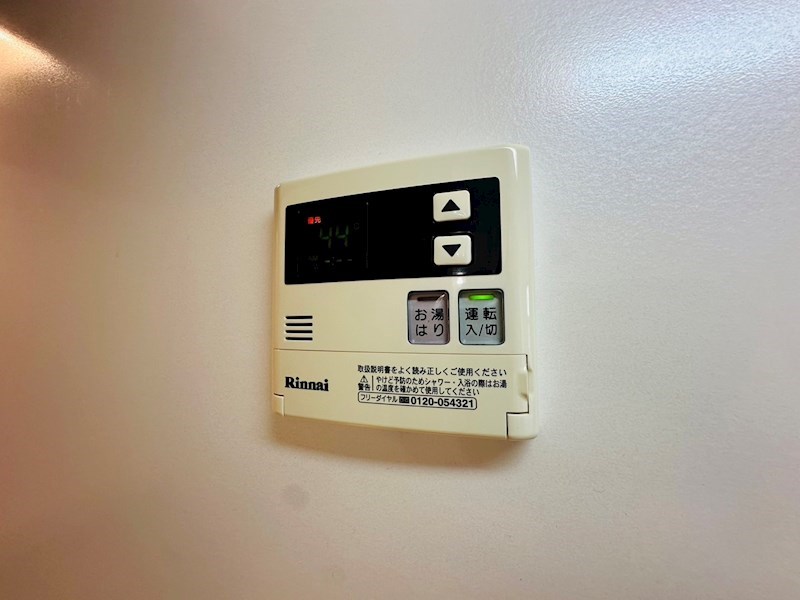 Ｗｉｓｔｅｒｉａ扇 その他12