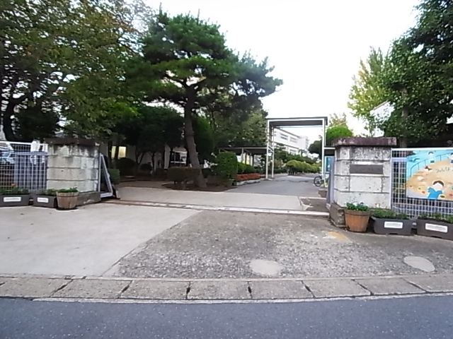 ラフィネ　柏  周辺画像2