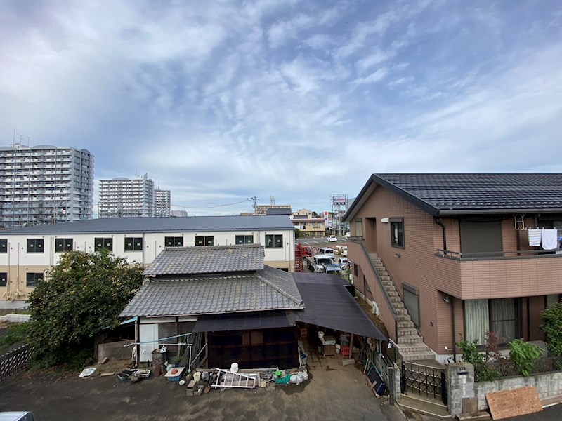 TREES Ⅱ その他7