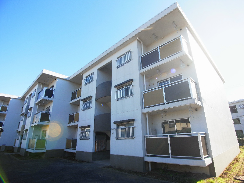 テレパレス柏てるて　南街区　1号棟  305号室 外観