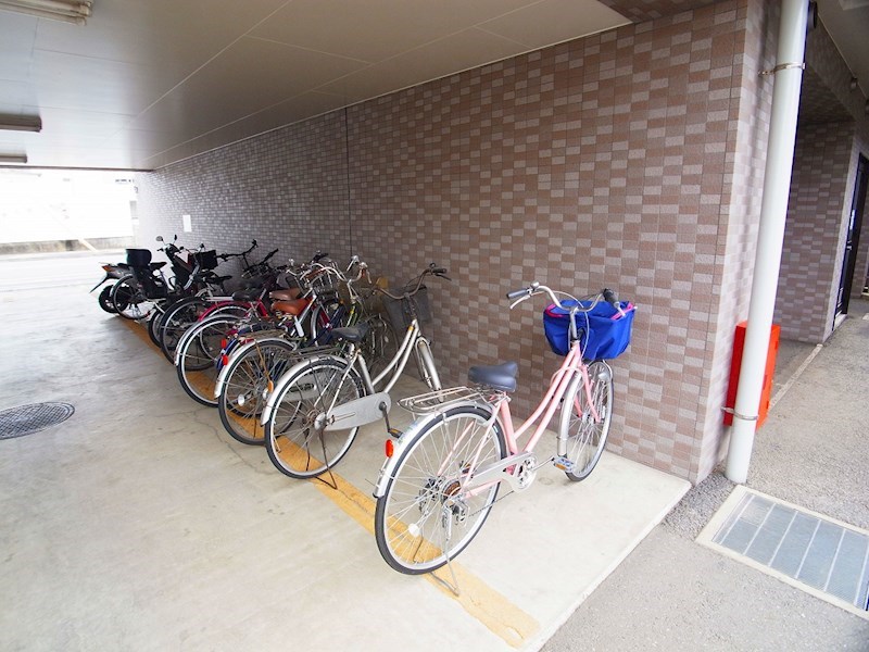 パインツリーコート その他外観3