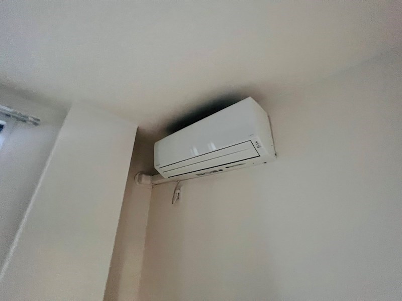 フォレスト　ベベ その他5