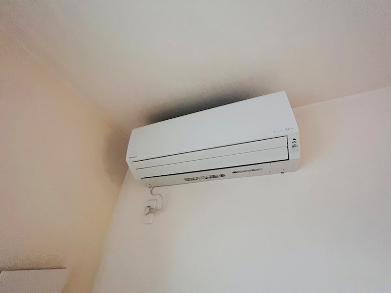 フォレスト　ベベ その他32