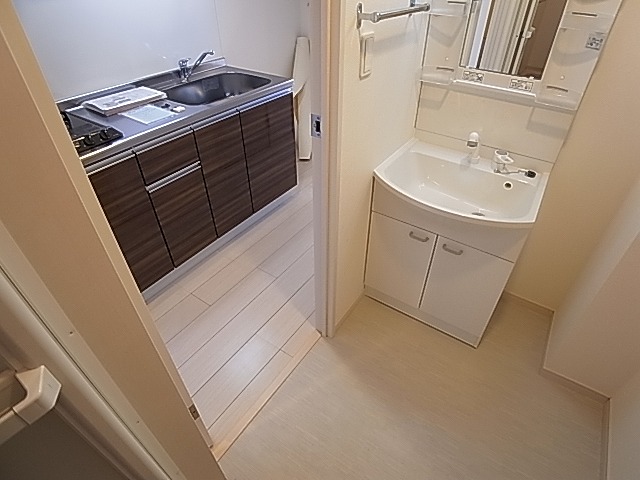 リブリ・ラルジュ その他2