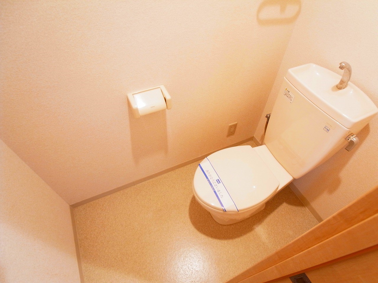 セレブリティーＹ その他1