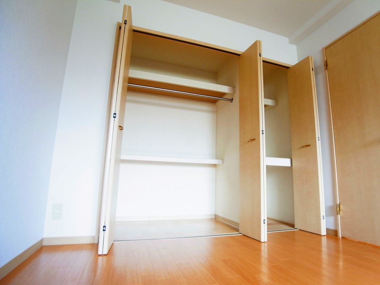 セレブリティーＹ その他3