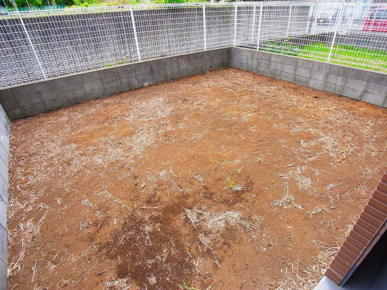 セレブリティーＹ その他5