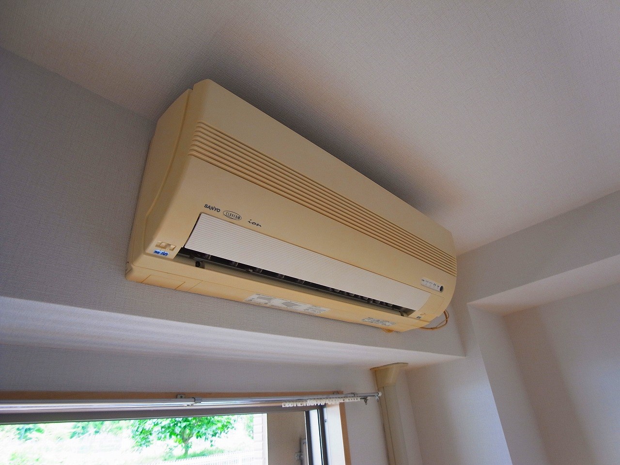 セレブリティーＹ その他6