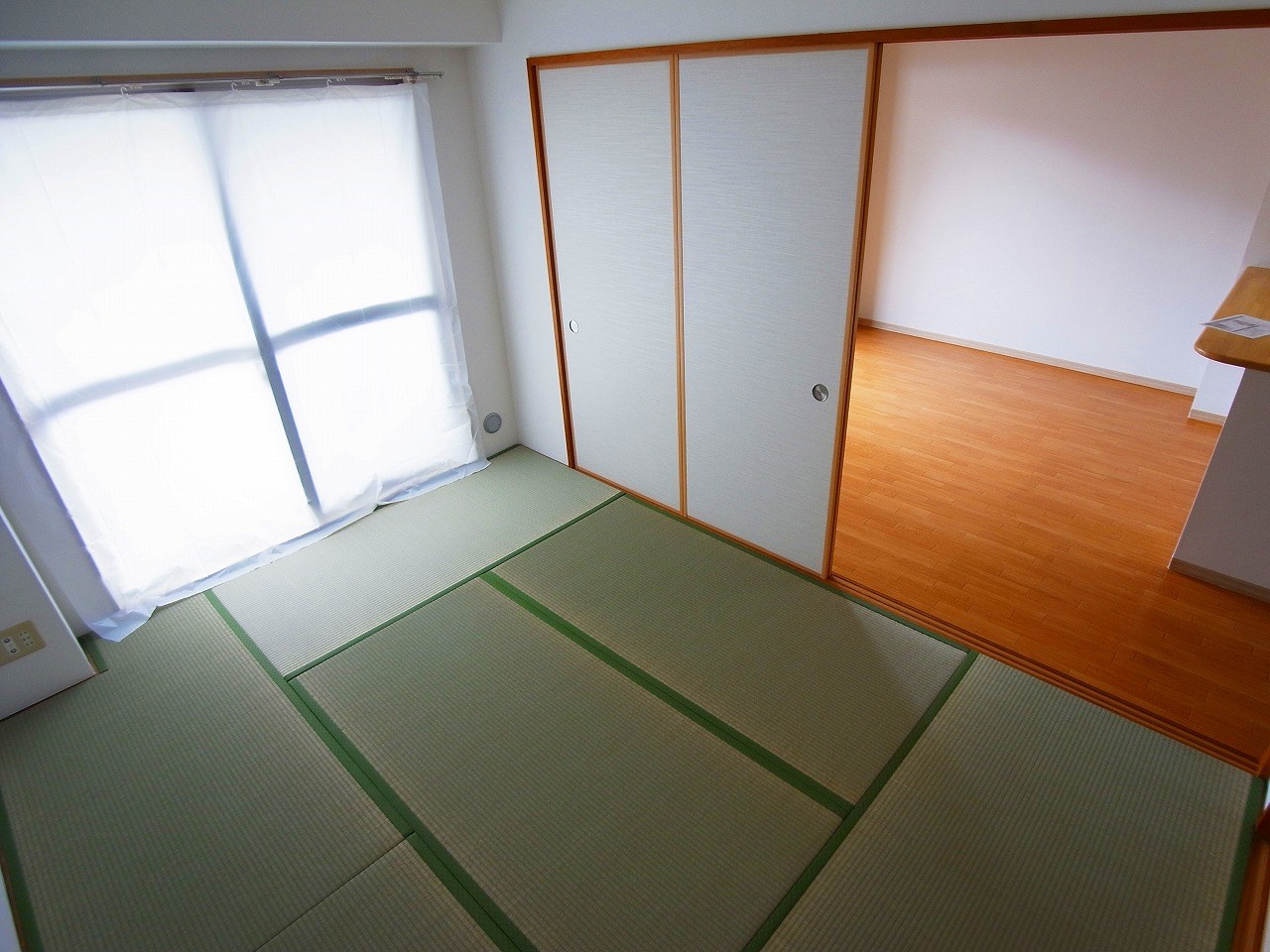 セレブリティーＹ その他8