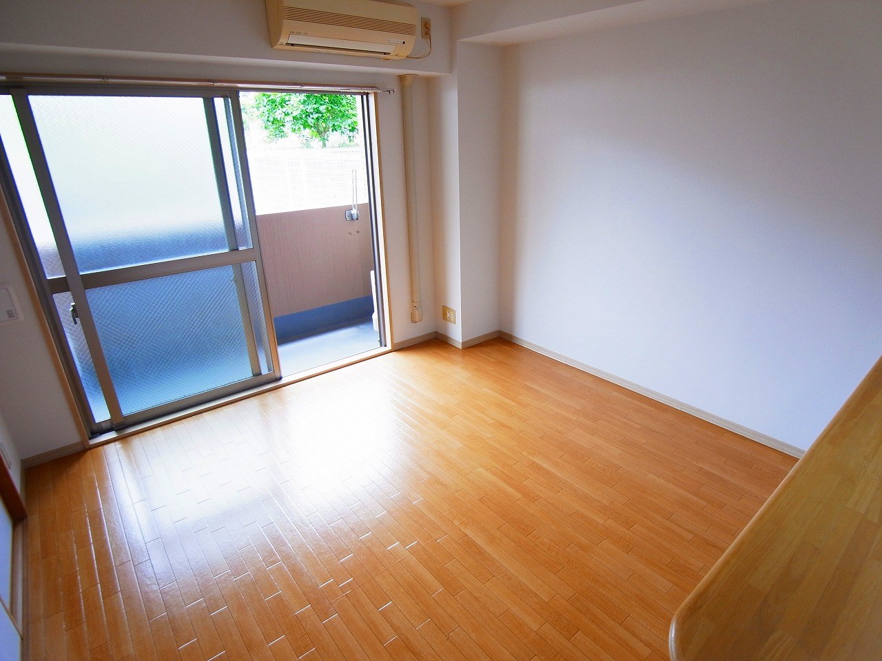 セレブリティーＹ その他10