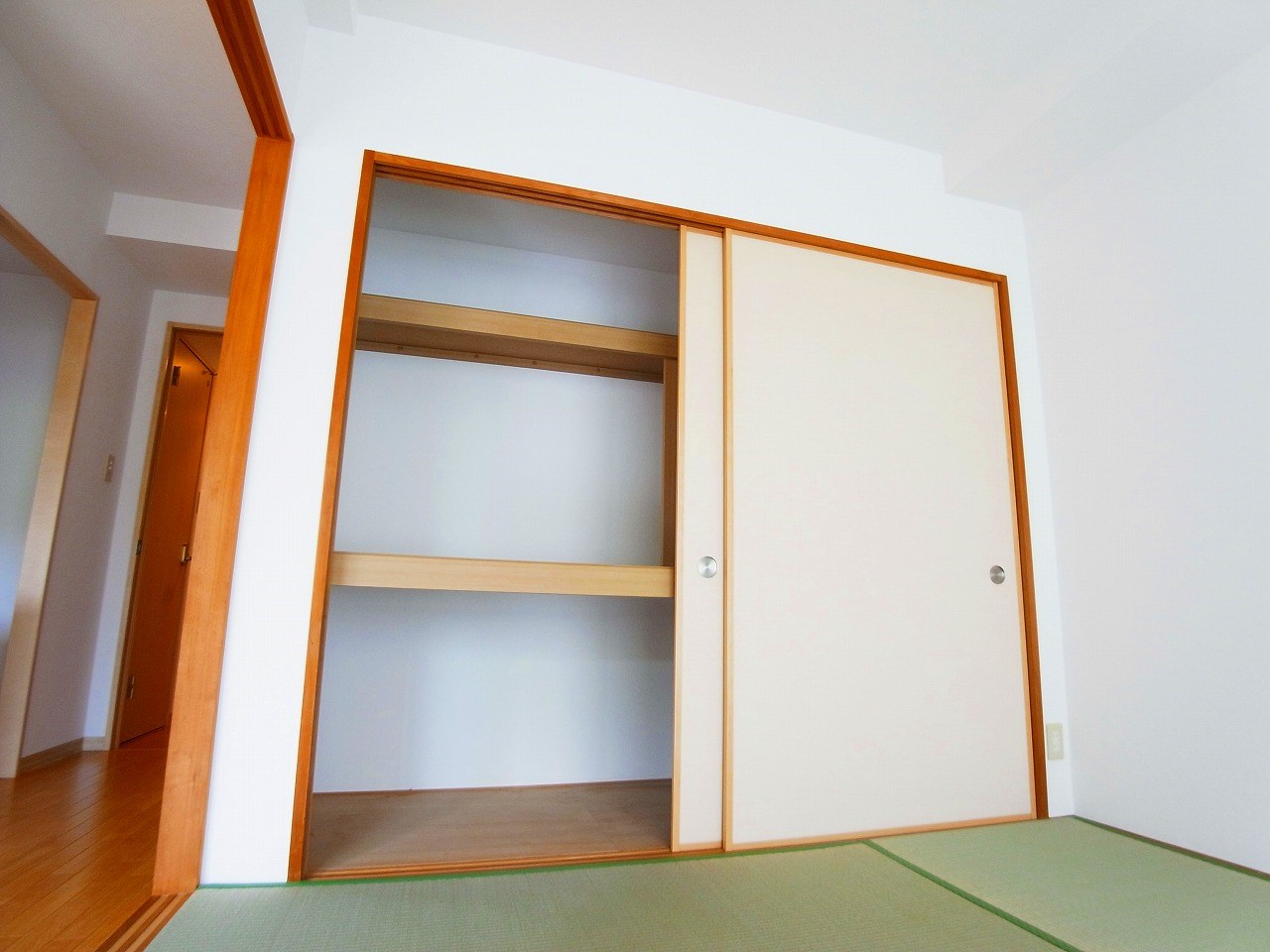 セレブリティーＹ その他11