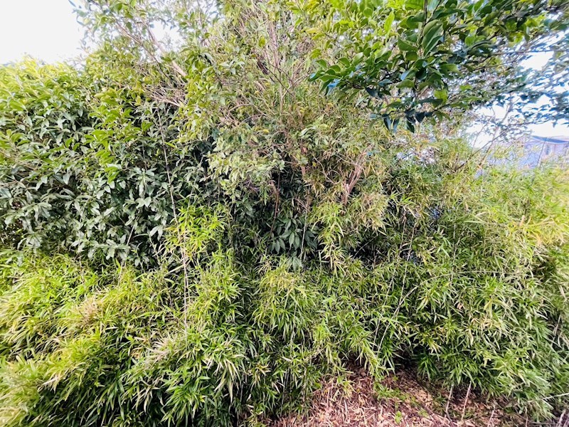 舎人吉岡ハイツ その他5