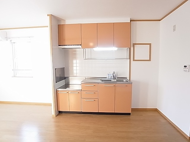 レアルカーサ・フジ キッチン