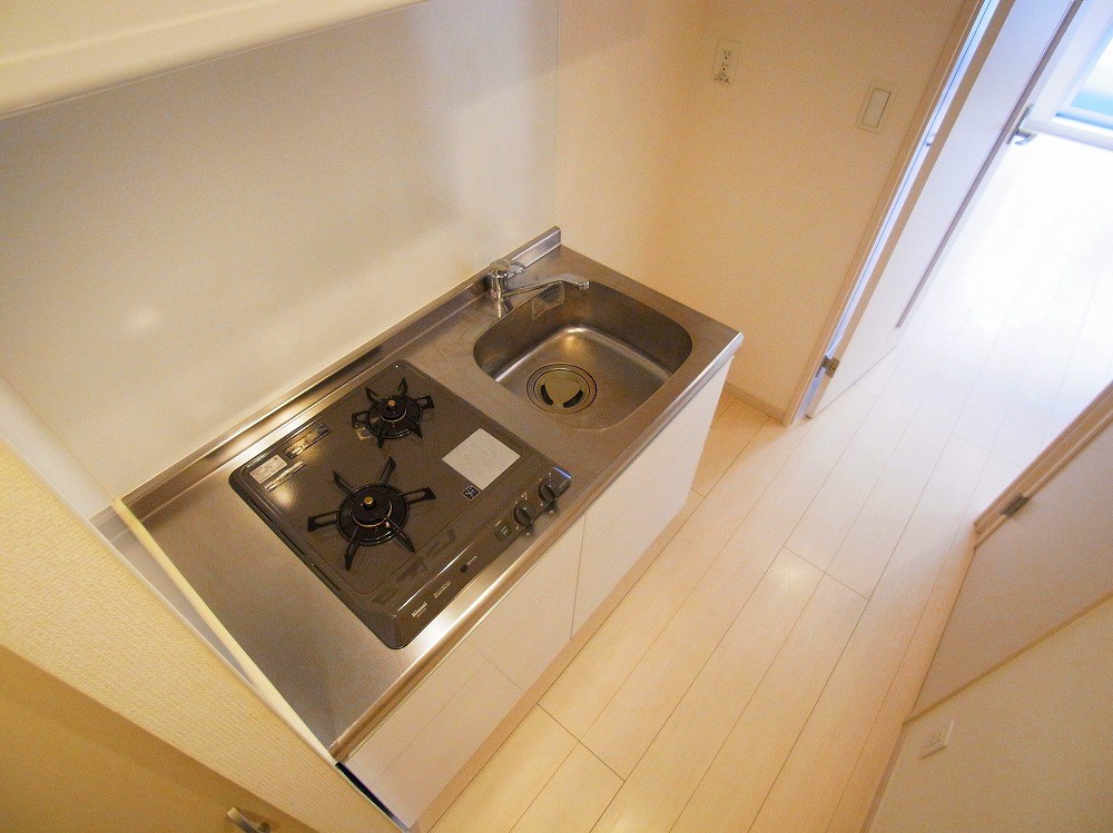 リブリ・セダム その他10